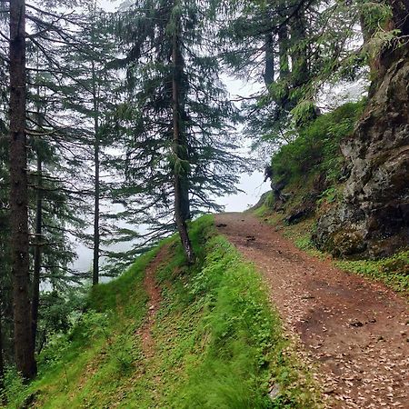 Neha Homestay Shimla Exterior foto