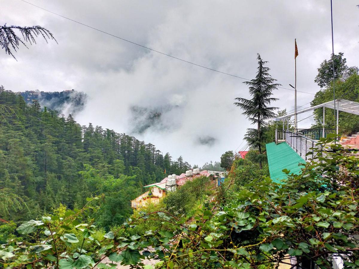 Neha Homestay Shimla Exterior foto