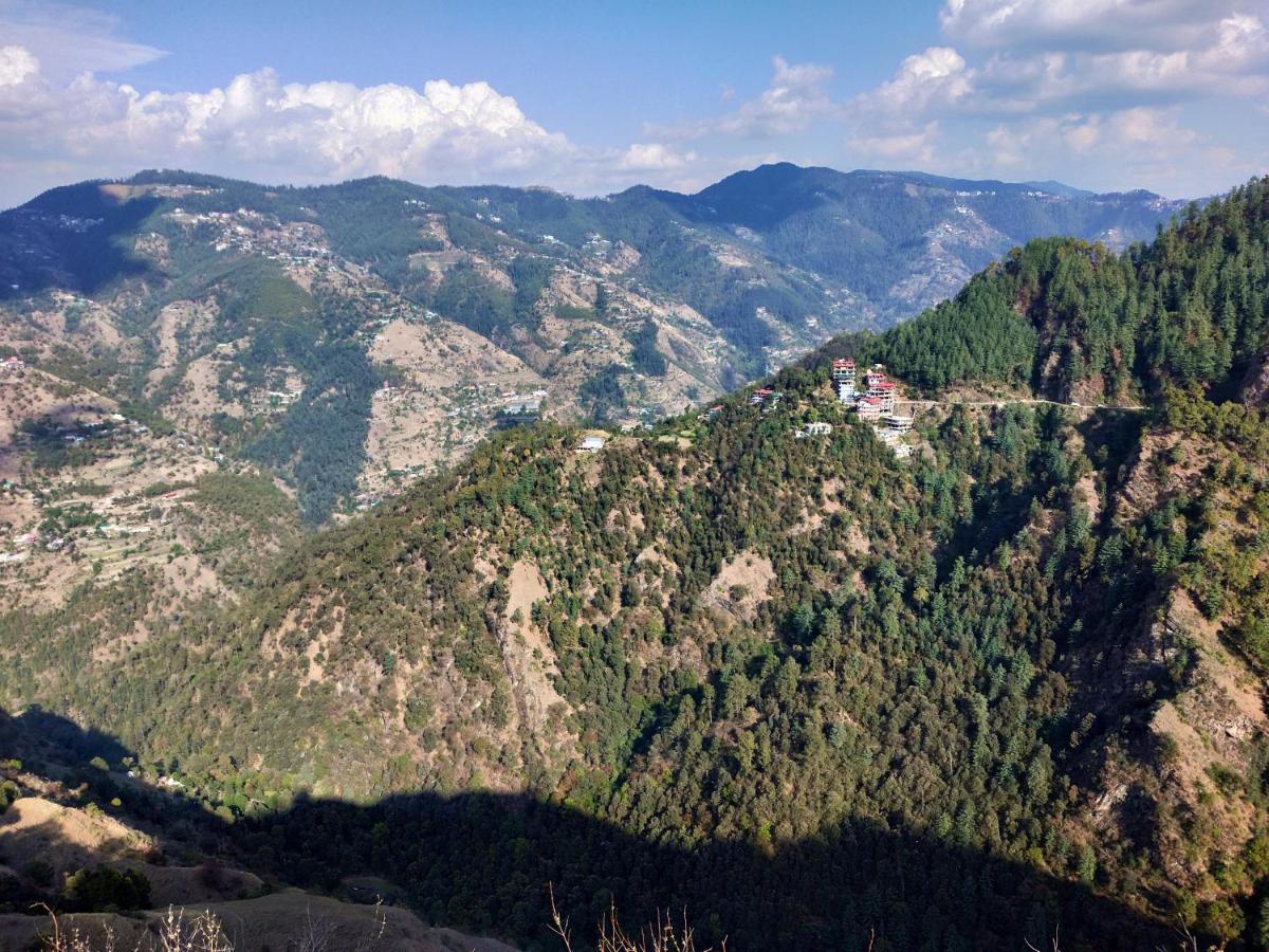 Neha Homestay Shimla Exterior foto