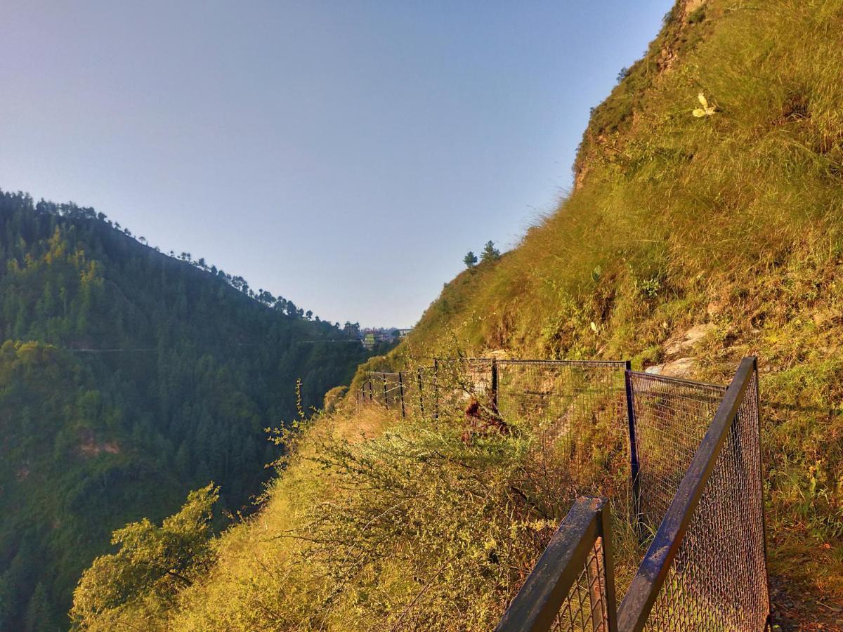 Neha Homestay Shimla Exterior foto