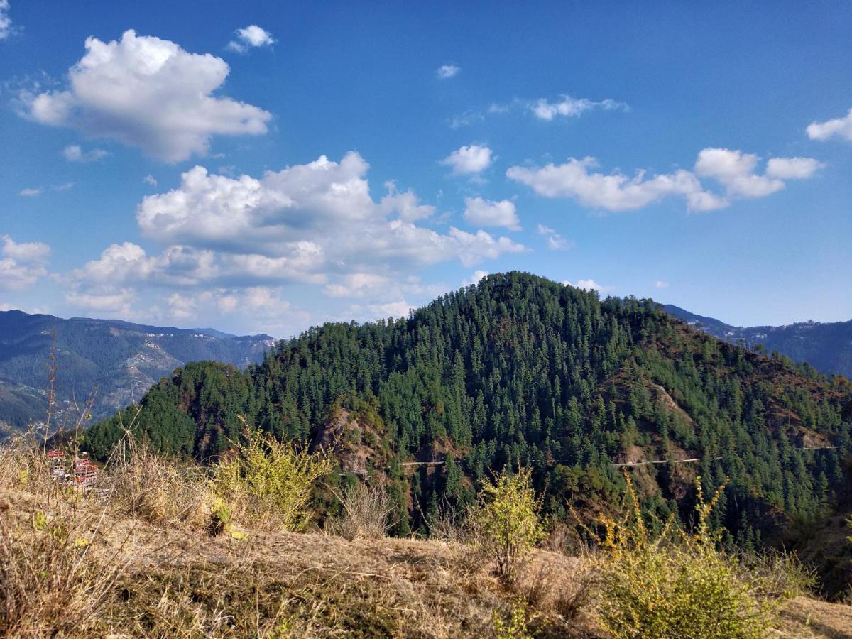 Neha Homestay Shimla Exterior foto