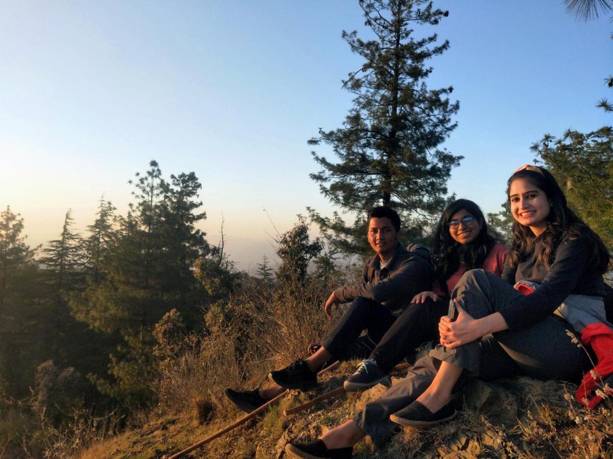 Neha Homestay Shimla Exterior foto
