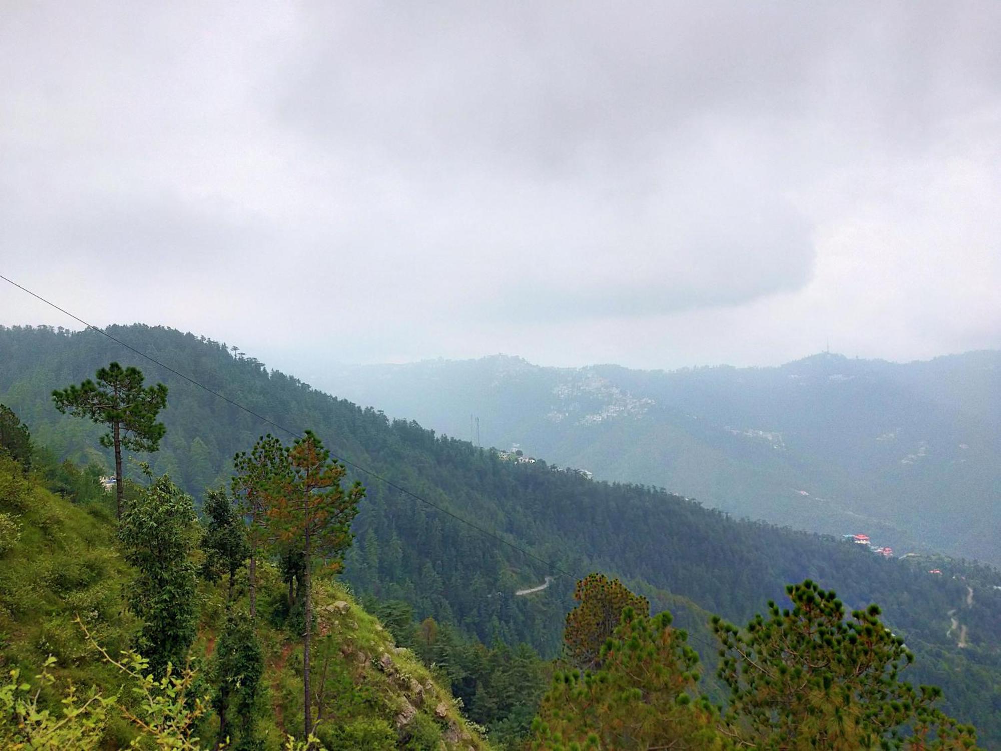 Neha Homestay Shimla Exterior foto