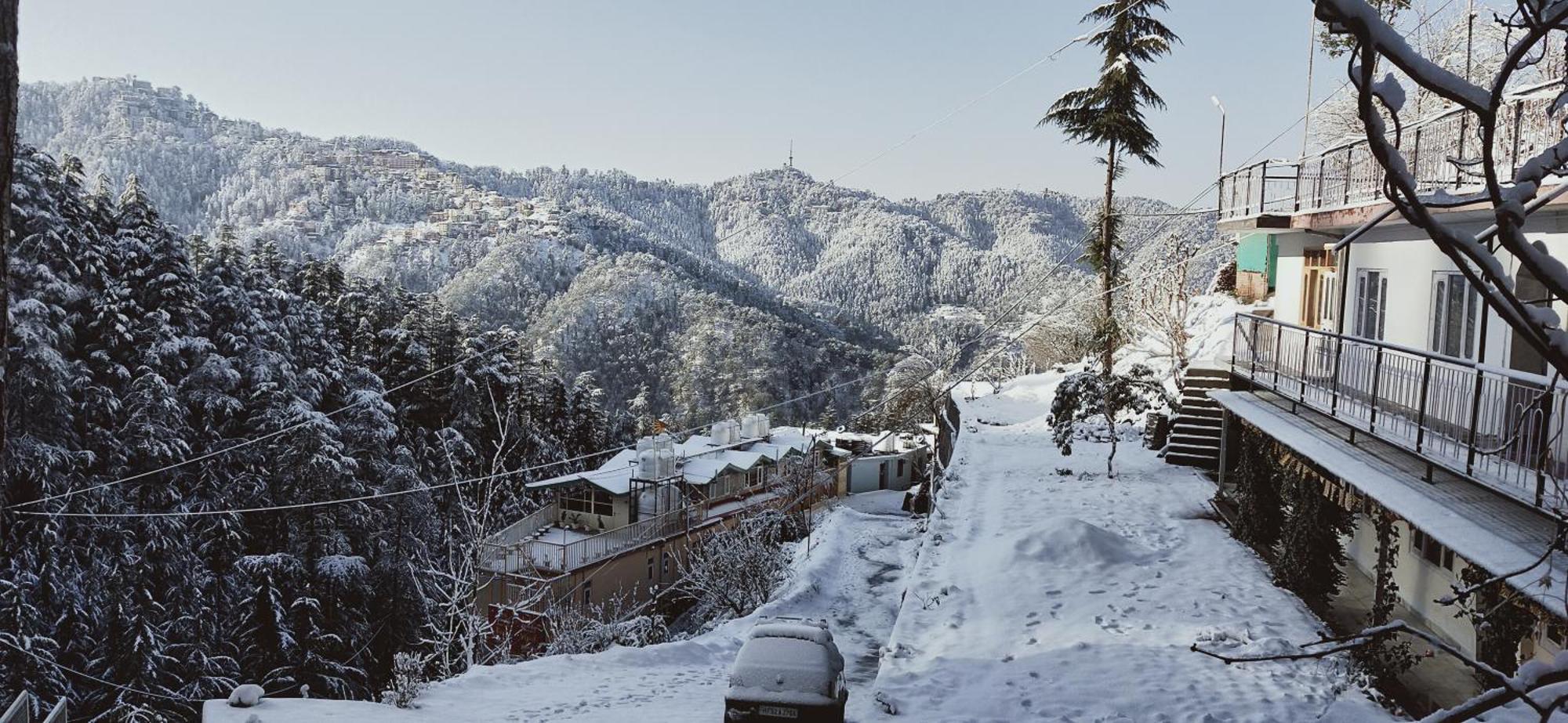 Neha Homestay Shimla Exterior foto